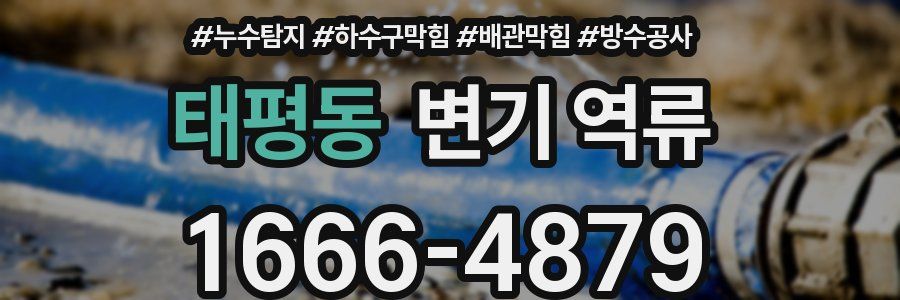 태평동 변기 역류