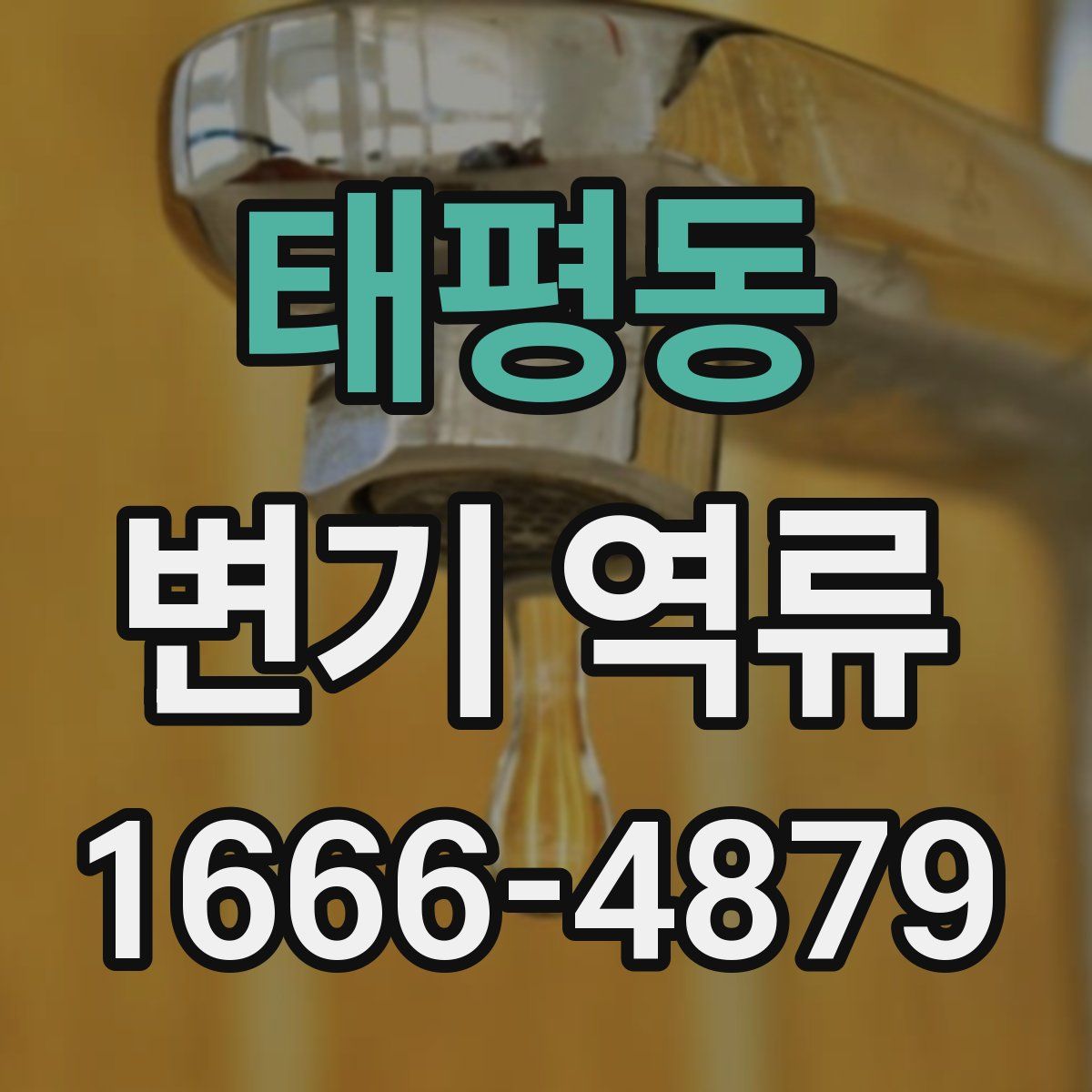 태평동 변기 역류