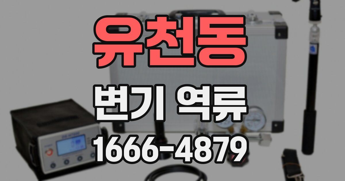 유천동 변기 역류