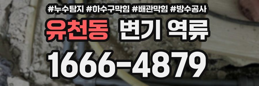 유천동 변기 역류