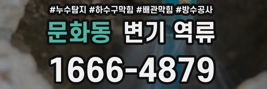 문화동 변기 역류