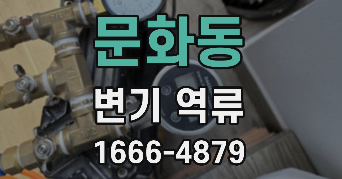 문화동 변기 역류