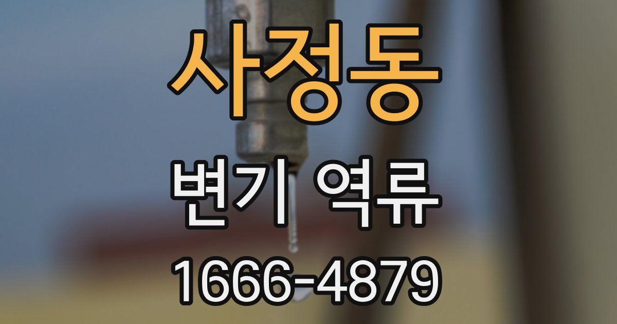 사정동 변기 역류