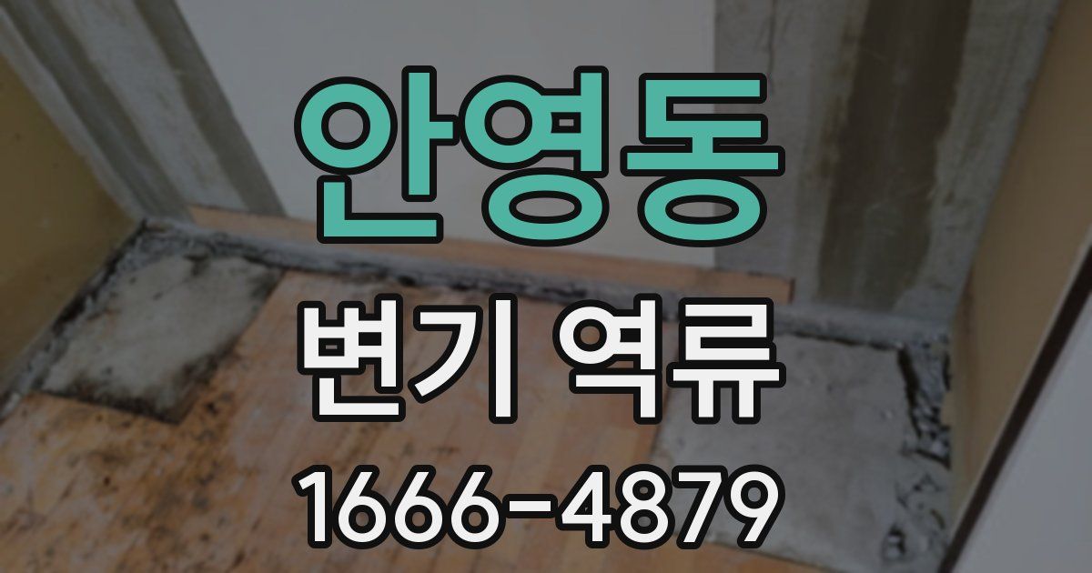 안영동 변기 역류