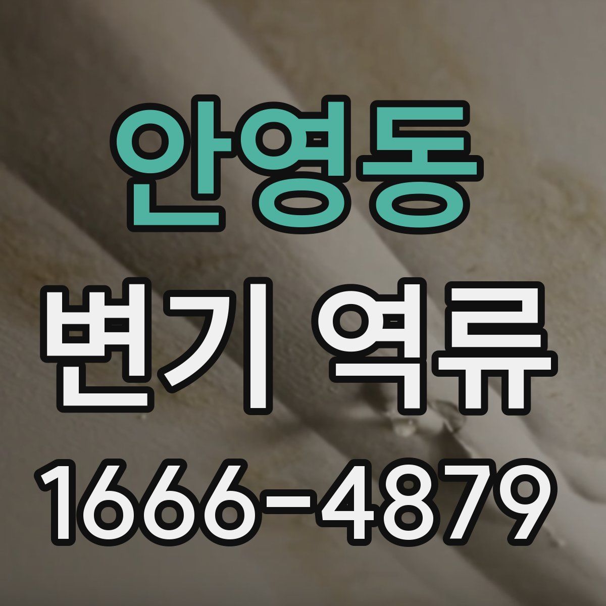 안영동 변기 역류