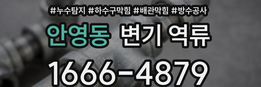 안영동 변기 역류