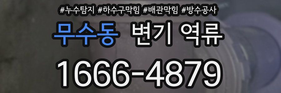 무수동 변기 역류