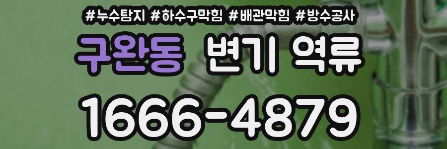 구완동 변기 역류