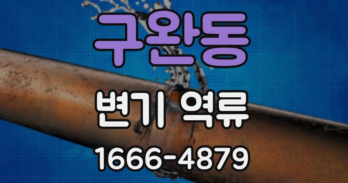 구완동 변기 역류
