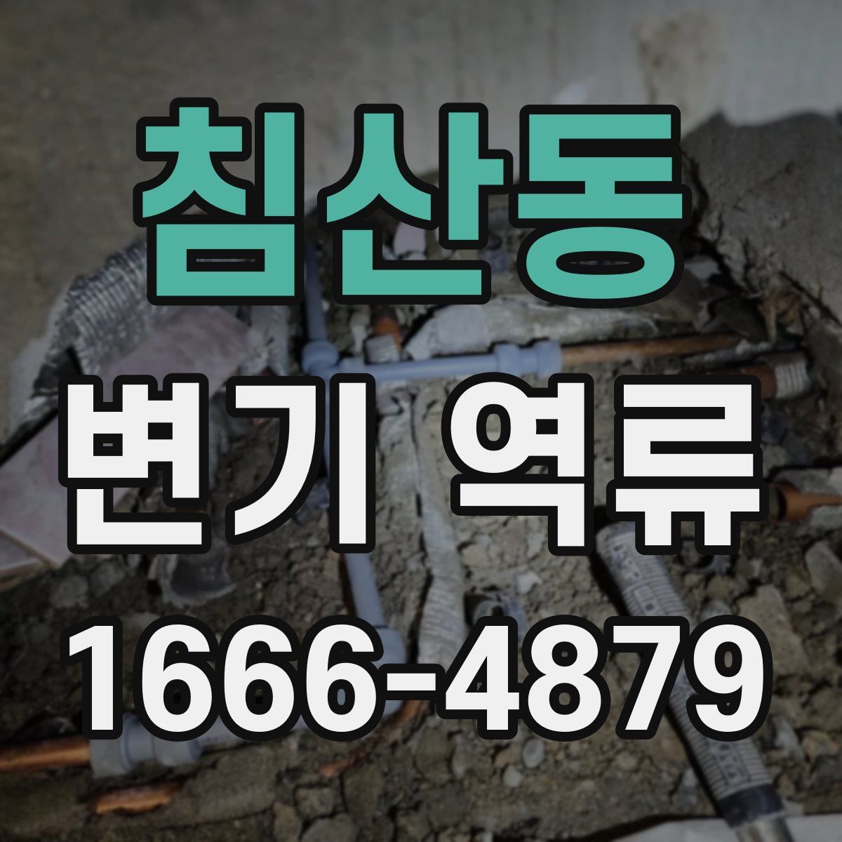침산동 변기 역류