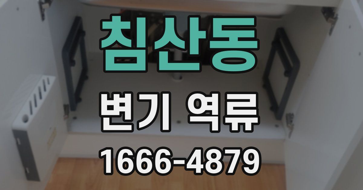 침산동 변기 역류