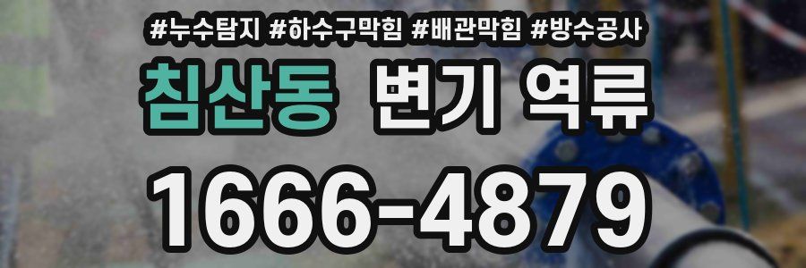 침산동 변기 역류