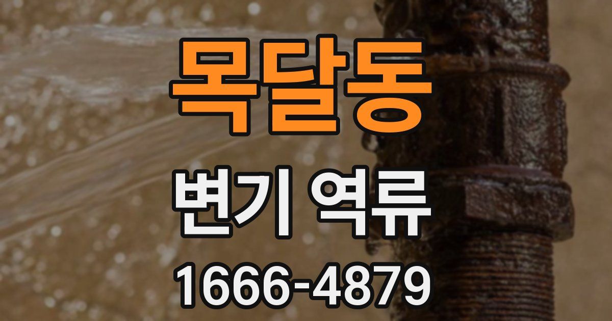 목달동 변기 역류