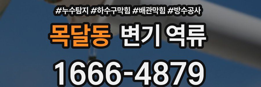 목달동 변기 역류