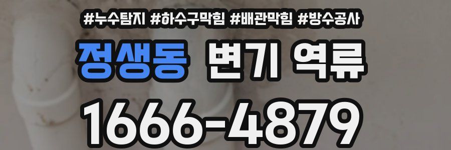 정생동 변기 역류