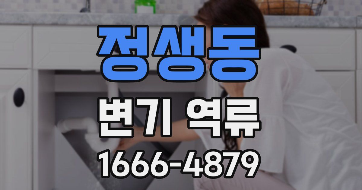 정생동 변기 역류