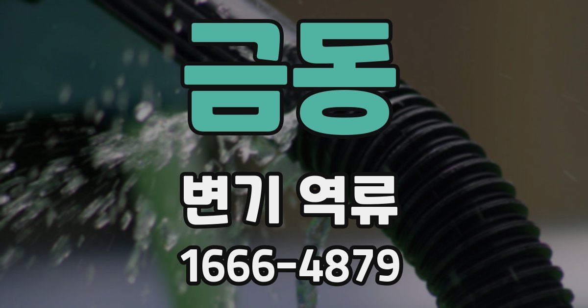 금동 변기 역류