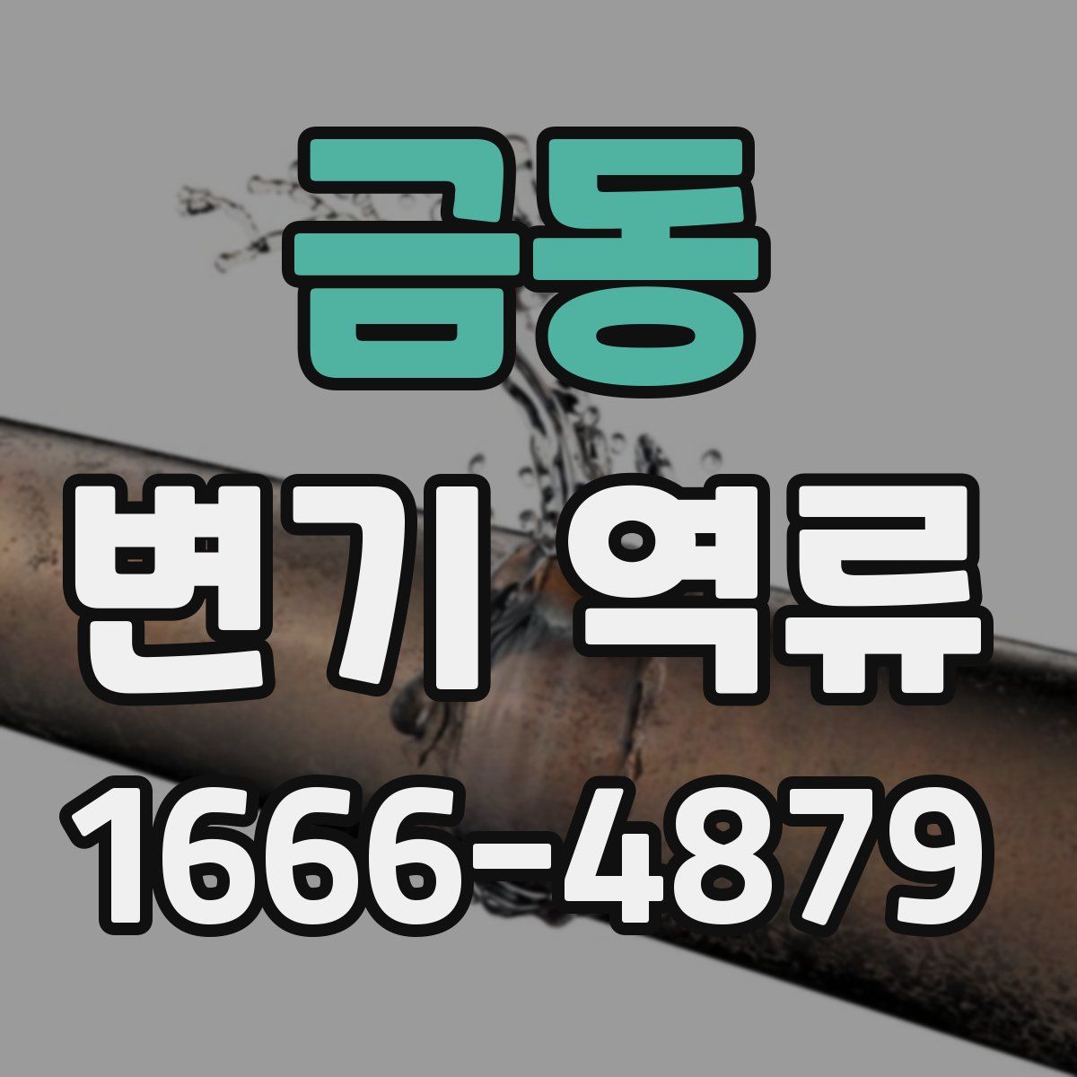 금동 변기 역류