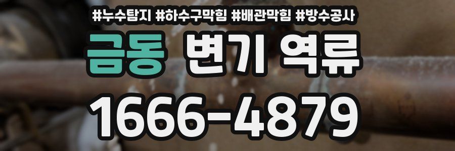 금동 변기 역류