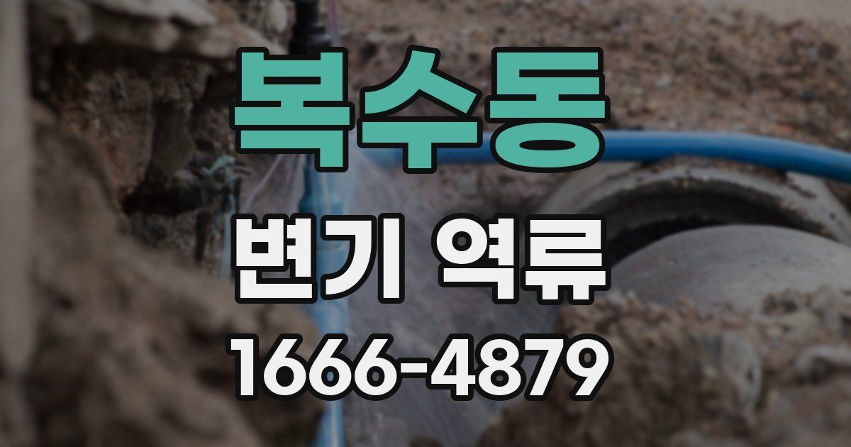 복수동 변기 역류