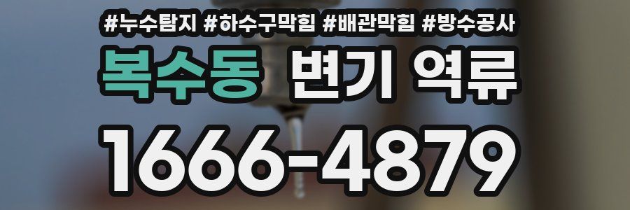 복수동 변기 역류