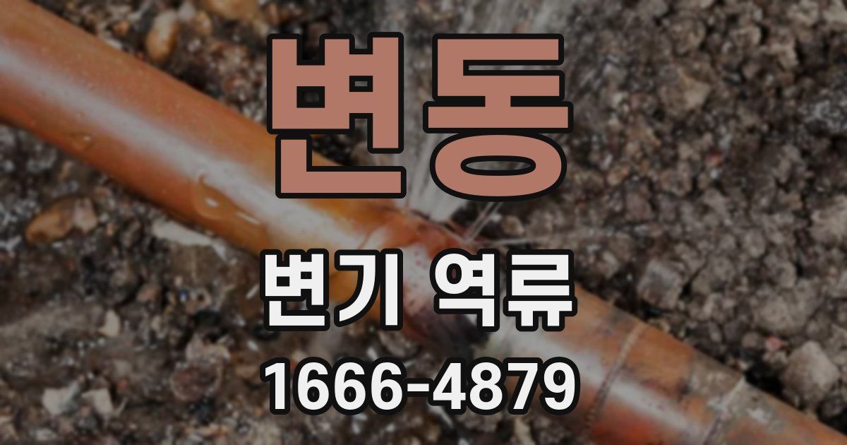 변동 변기 역류
