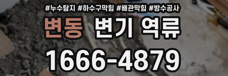 변동 변기 역류