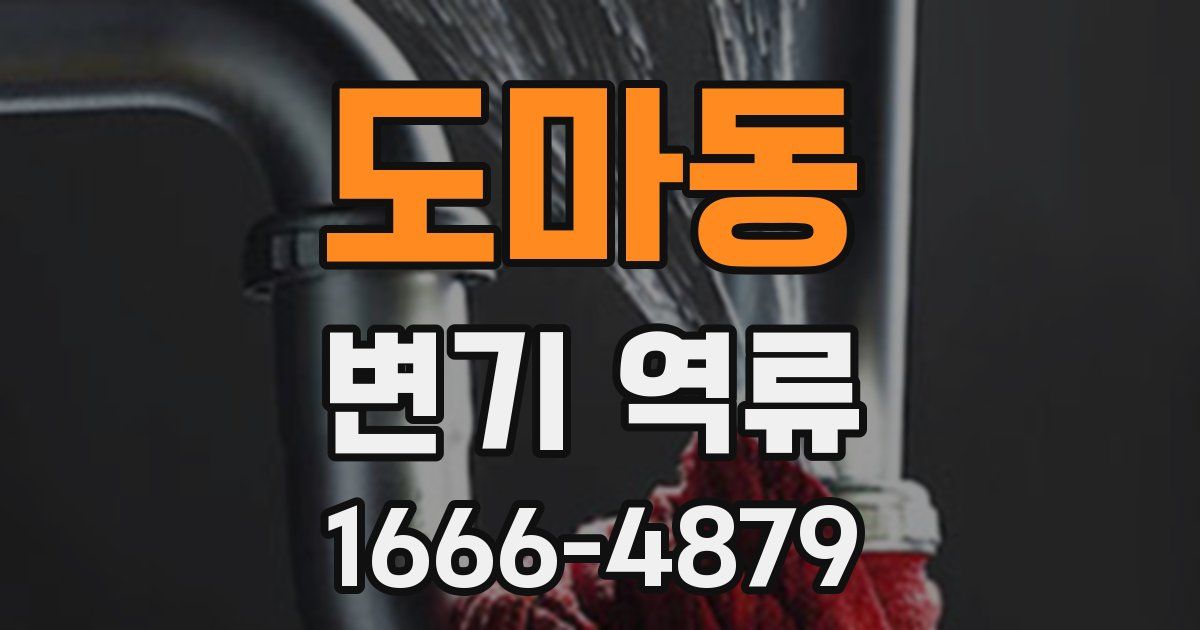 도마동 변기 역류