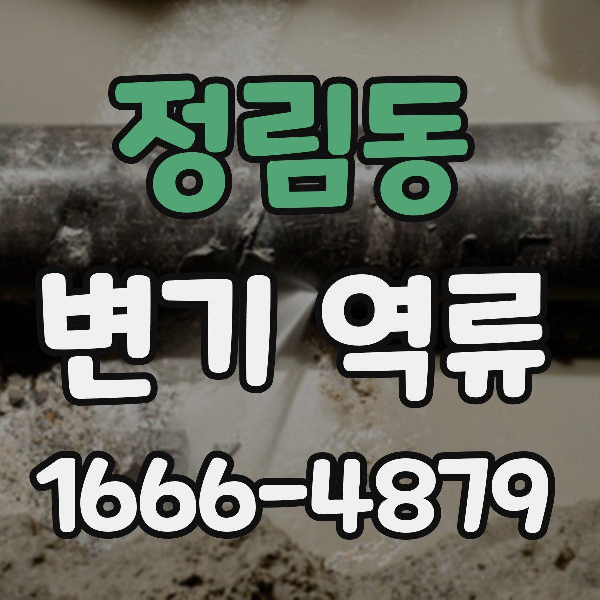 정림동 변기 역류