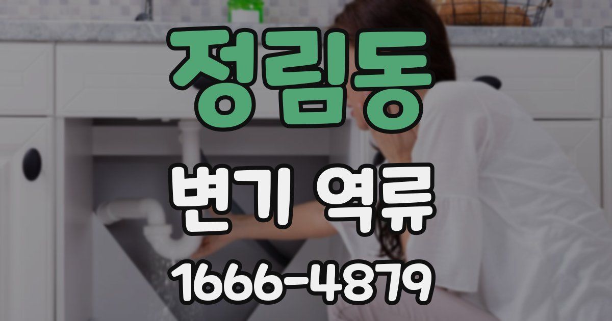 정림동 변기 역류