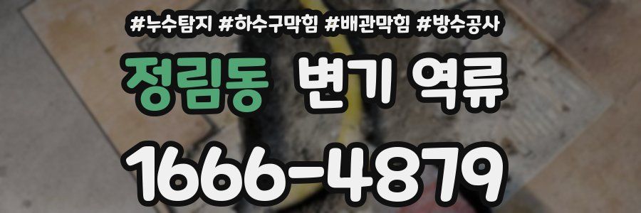 정림동 변기 역류