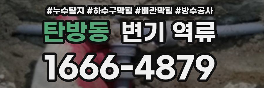 탄방동 변기 역류