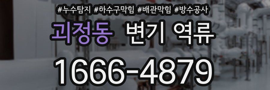 괴정동 변기 역류