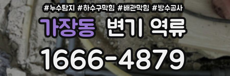 가장동 변기 역류