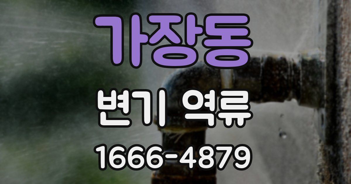 가장동 변기 역류
