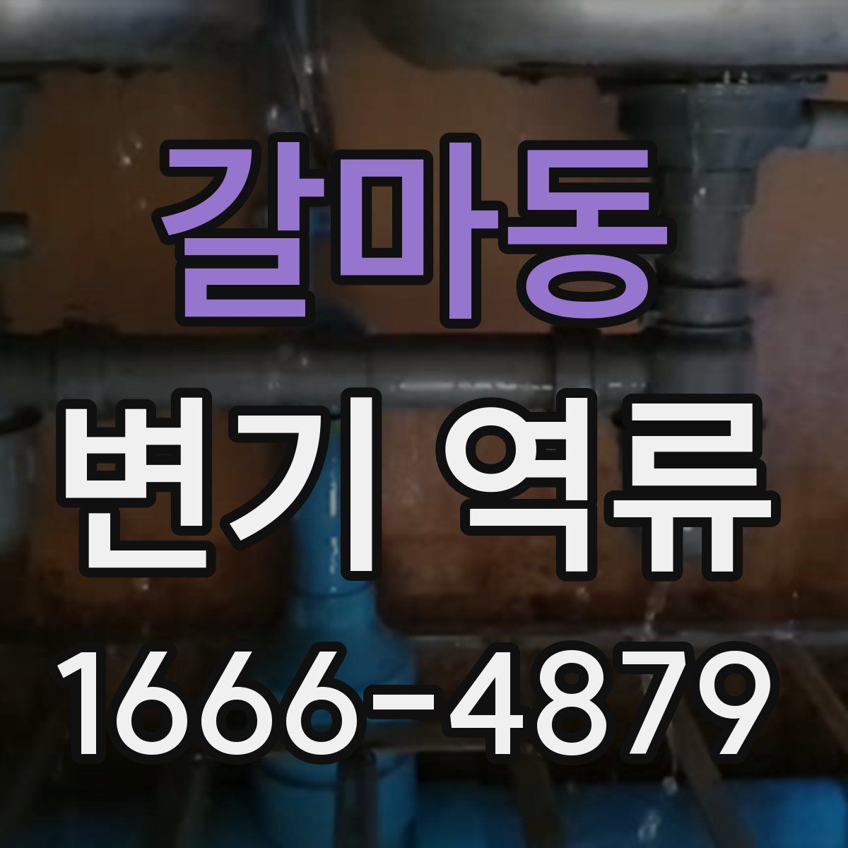 갈마동 변기 역류