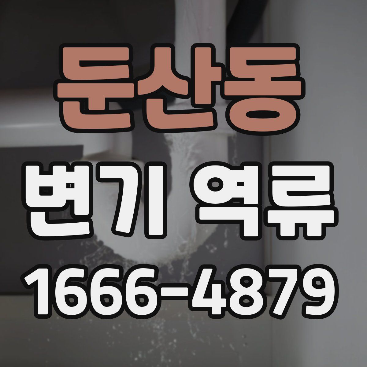 둔산동 변기 역류