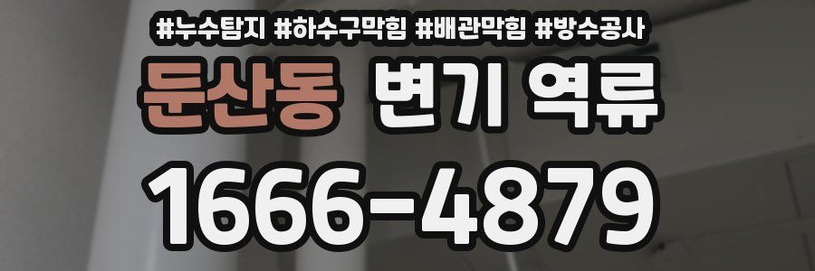둔산동 변기 역류