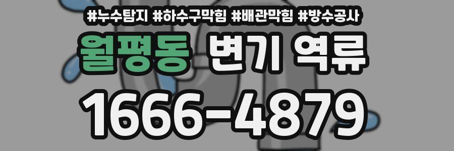 월평동 변기 역류