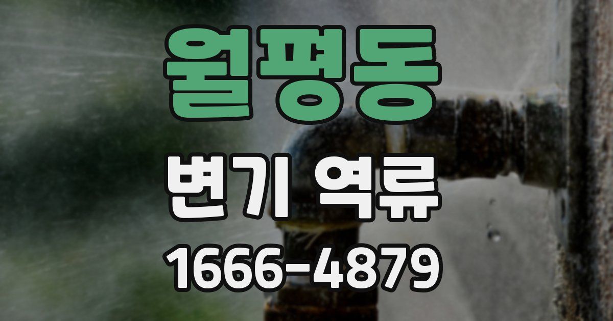 월평동 변기 역류