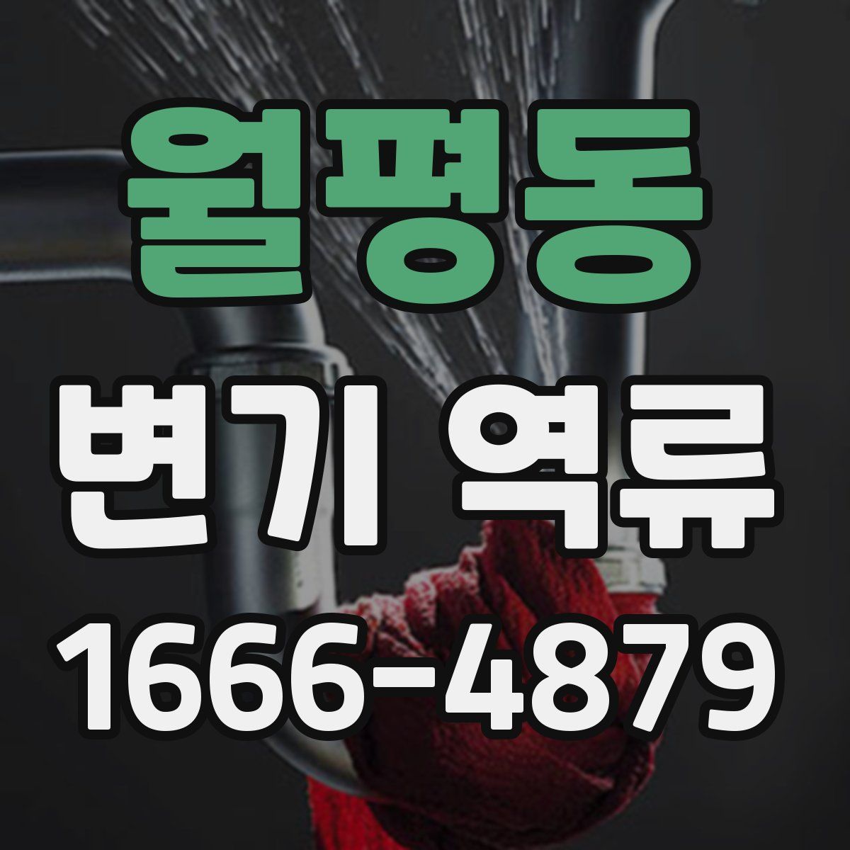 월평동 변기 역류
