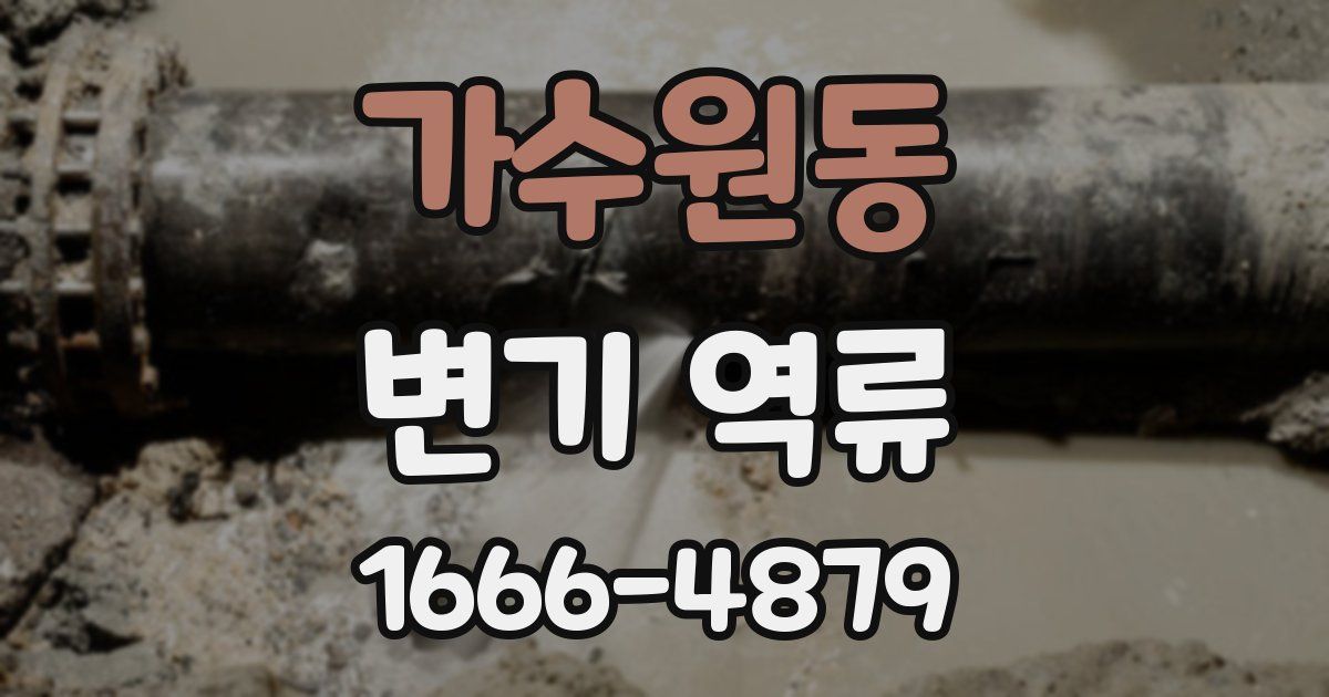 가수원동 변기 역류