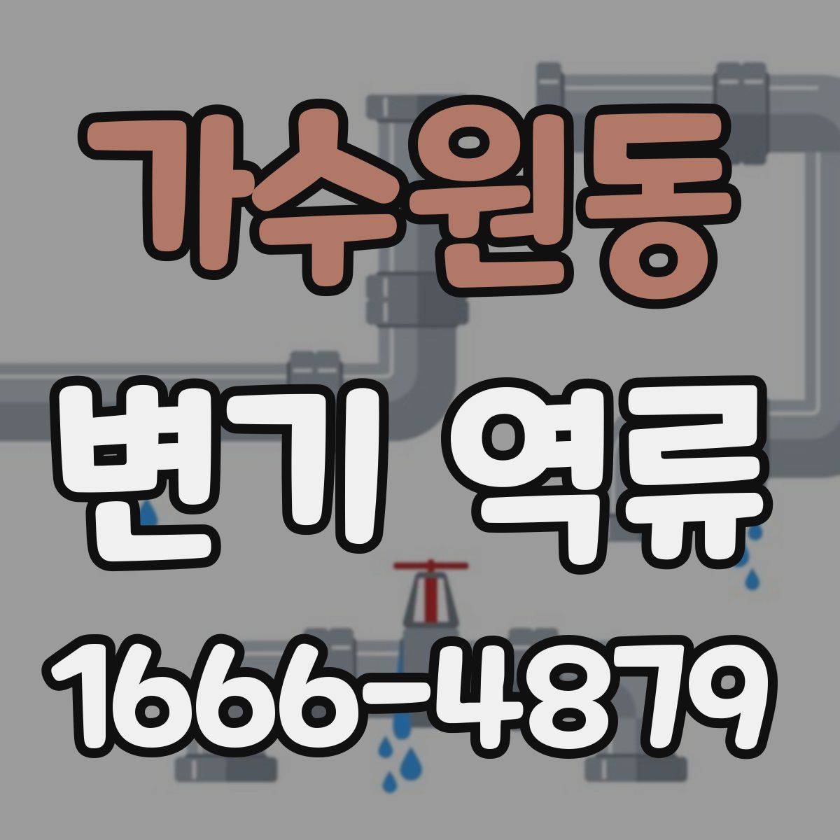 가수원동 변기 역류