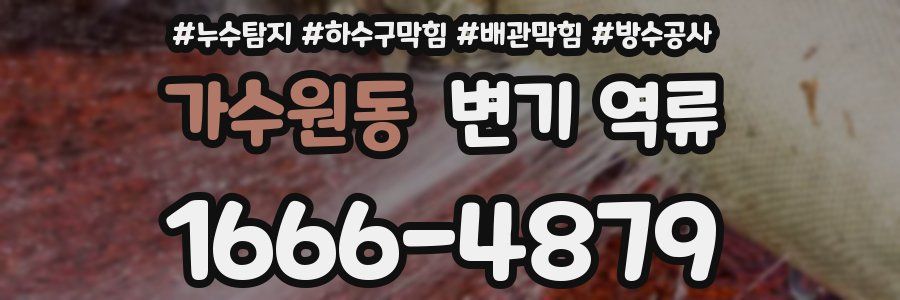 가수원동 변기 역류