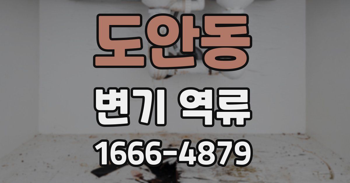 도안동 변기 역류