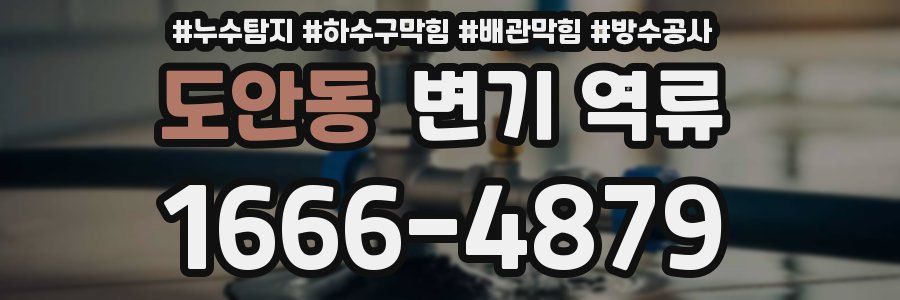 도안동 변기 역류