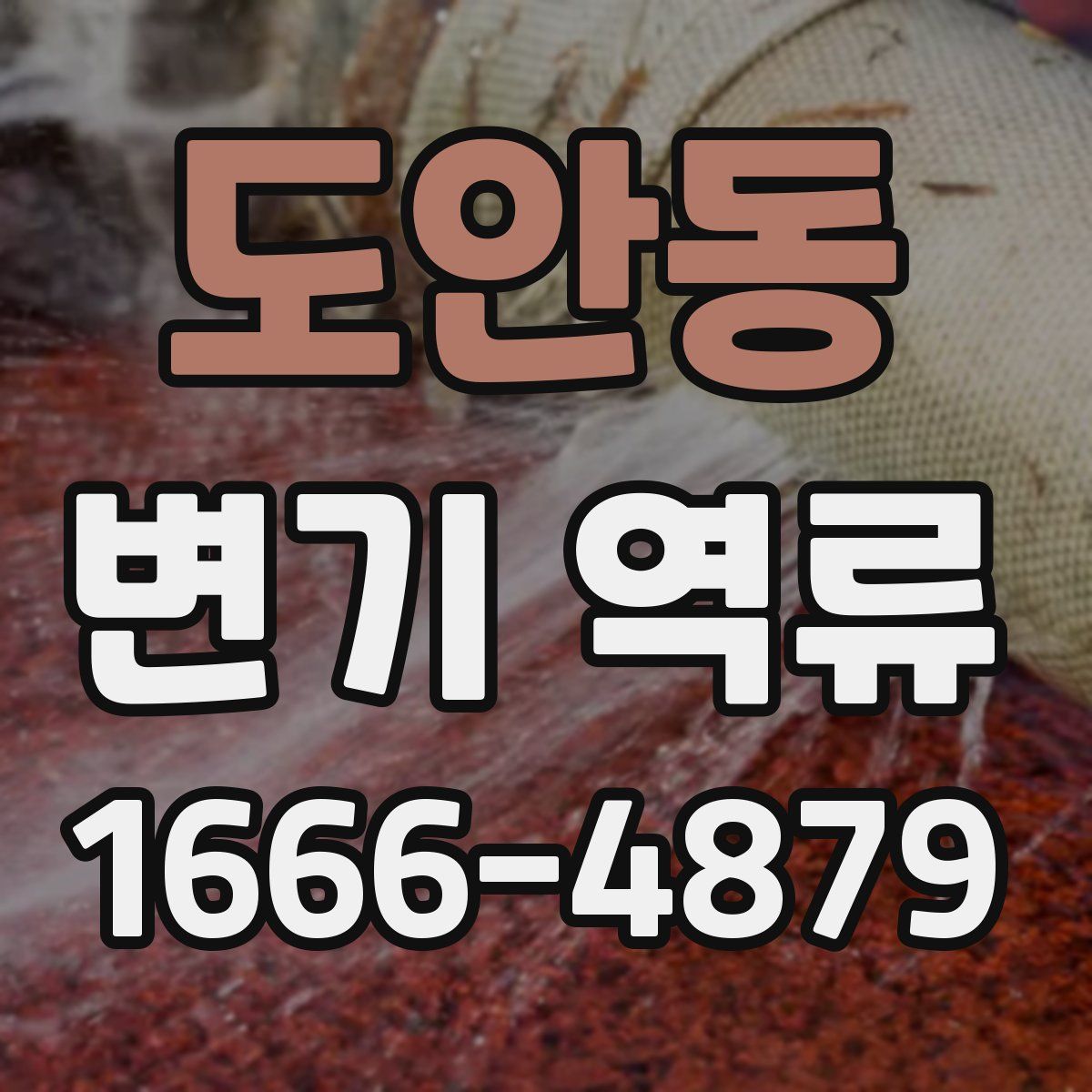 도안동 변기 역류