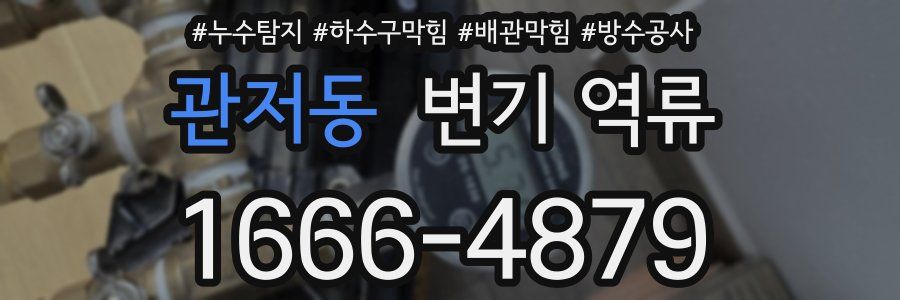 관저동 변기 역류