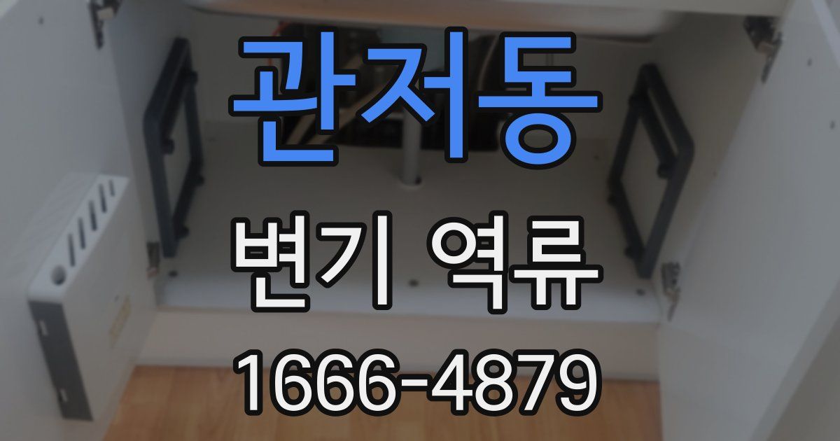 관저동 변기 역류