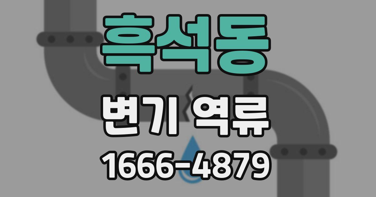 흑석동 변기 역류